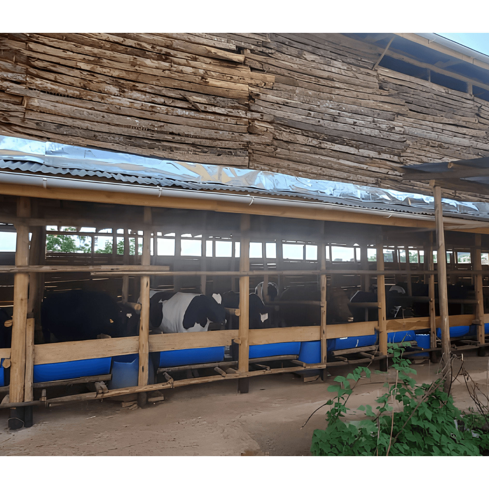 Farm construction